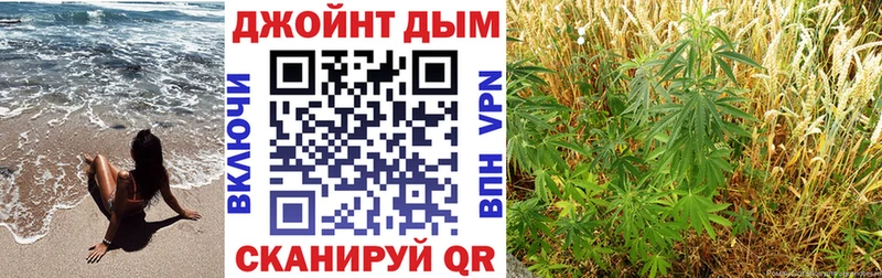 Бошки Шишки индика  кракен   Ноябрьск 